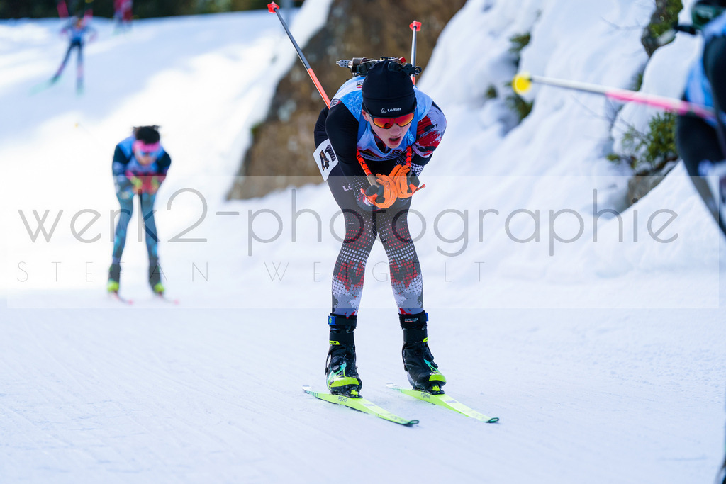 FESA Alpencup / DP Notschrei | Deutschland Pokal Finale im Schwarzwald NORDIC-CENTER Notschrei am 7. - 8. Februar 2026