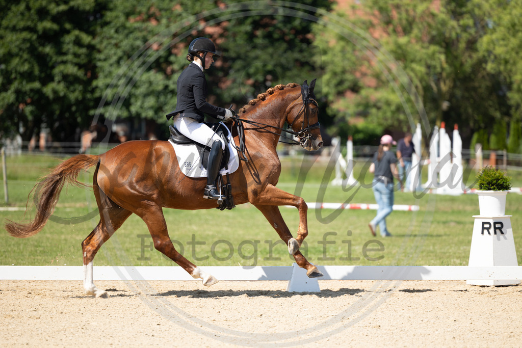 994A2934 | sabrinanicolaifotografie - Realisiert mit Pictrs.com