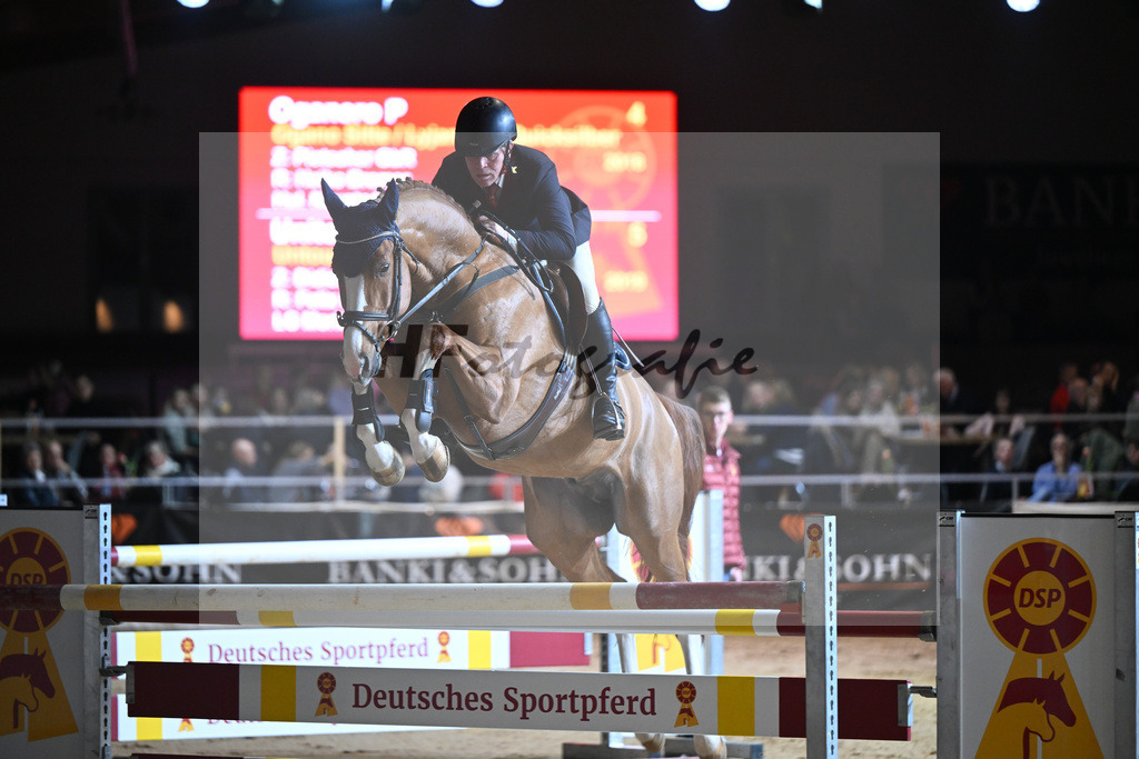 Oganero_1234078 | hf-fotografie - Realisiert mit Pictrs.com