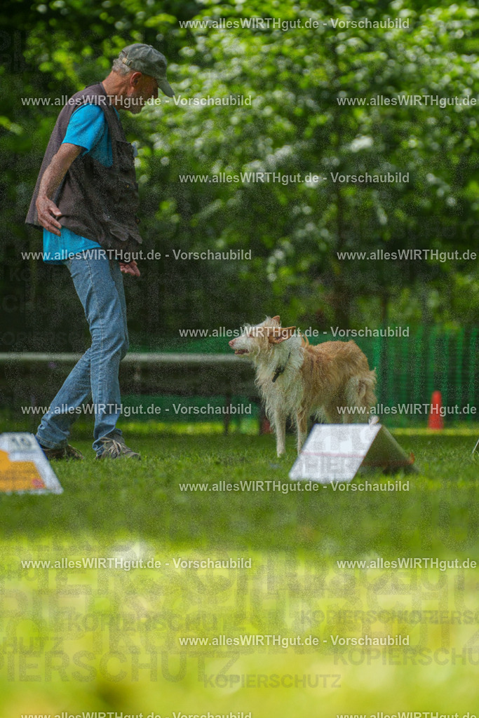 @allesWIRTHgut_Tierfotografie - www.allesWIRTHgut.de - 7R505591 | Professionelle Tierfotografie in Mönchengladbach von Daniel Wirth (allesWIRTHgut). Liebevolle & natürliche Bilder von Hunden & Katzen für unvergessliche Erinnerungen.