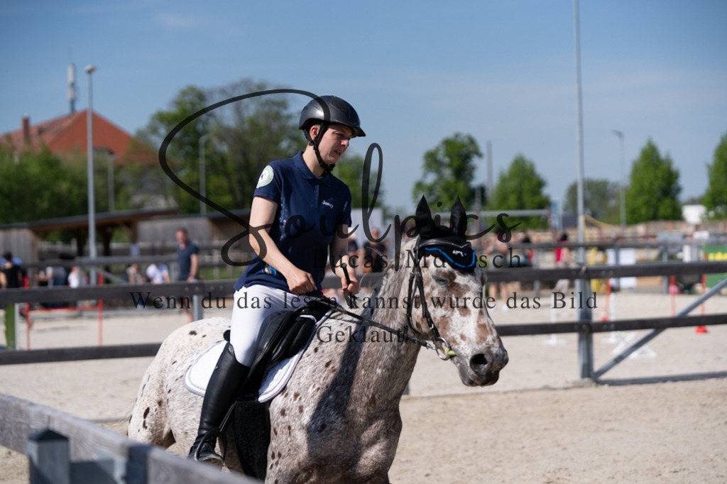 A7V01937 | Pferdefotograf