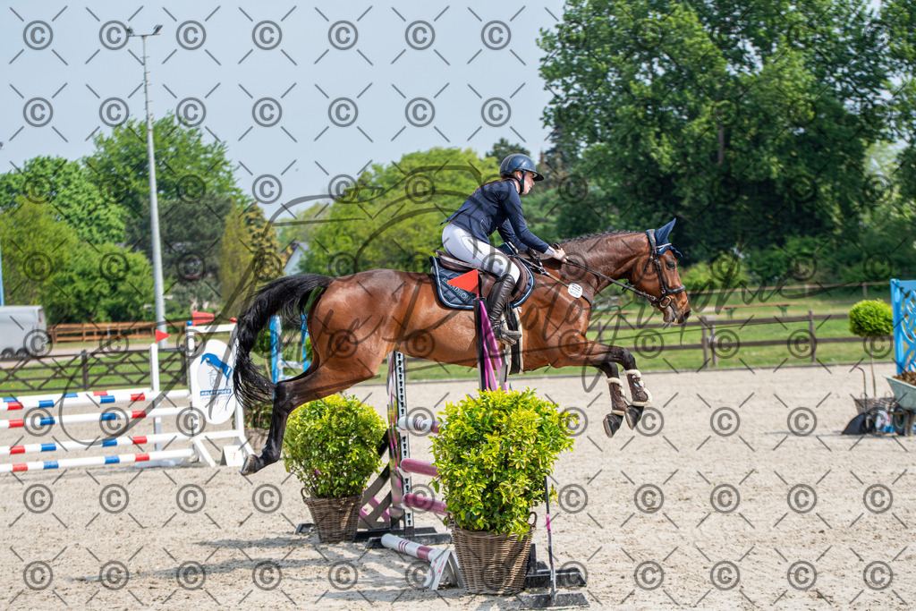 KPT_2650 | andre_photographic