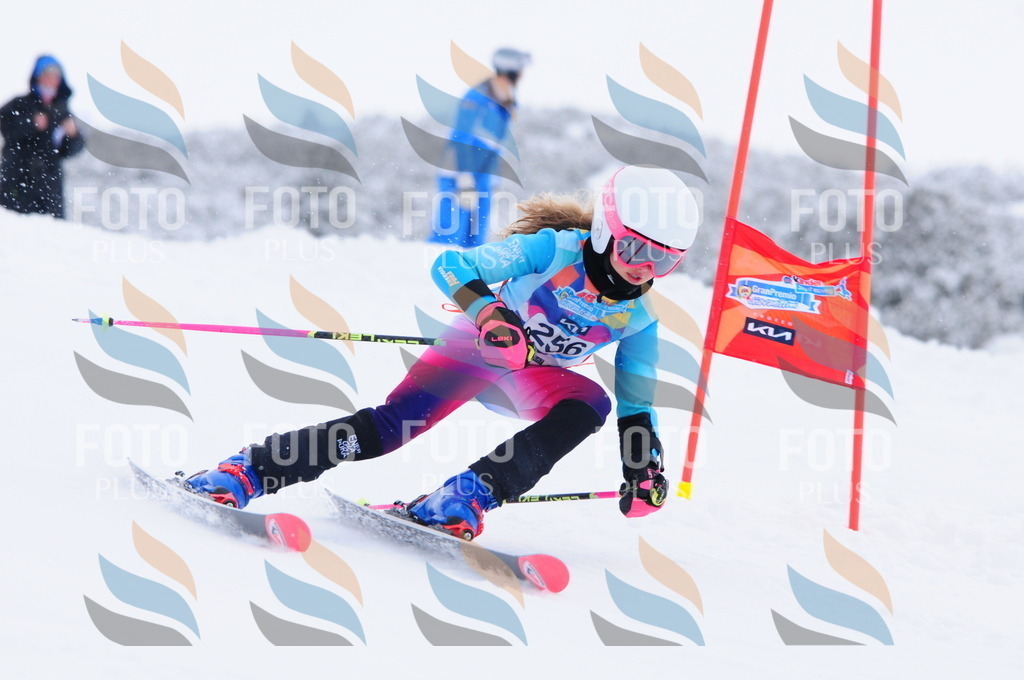 C2696 | holidayphoto