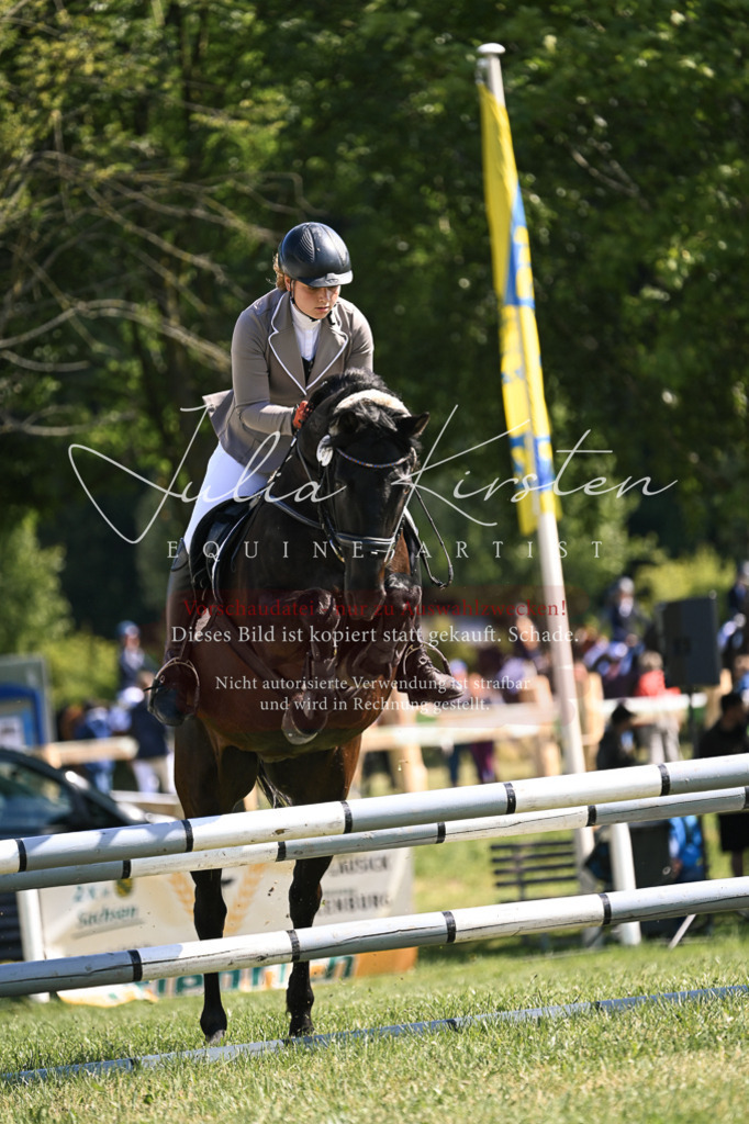 DSC_8798 | Pferde- und Turnierfotografie in Westsachsen. Pferdeportraits, Auftragszeichnungen und intuitive Kunst.