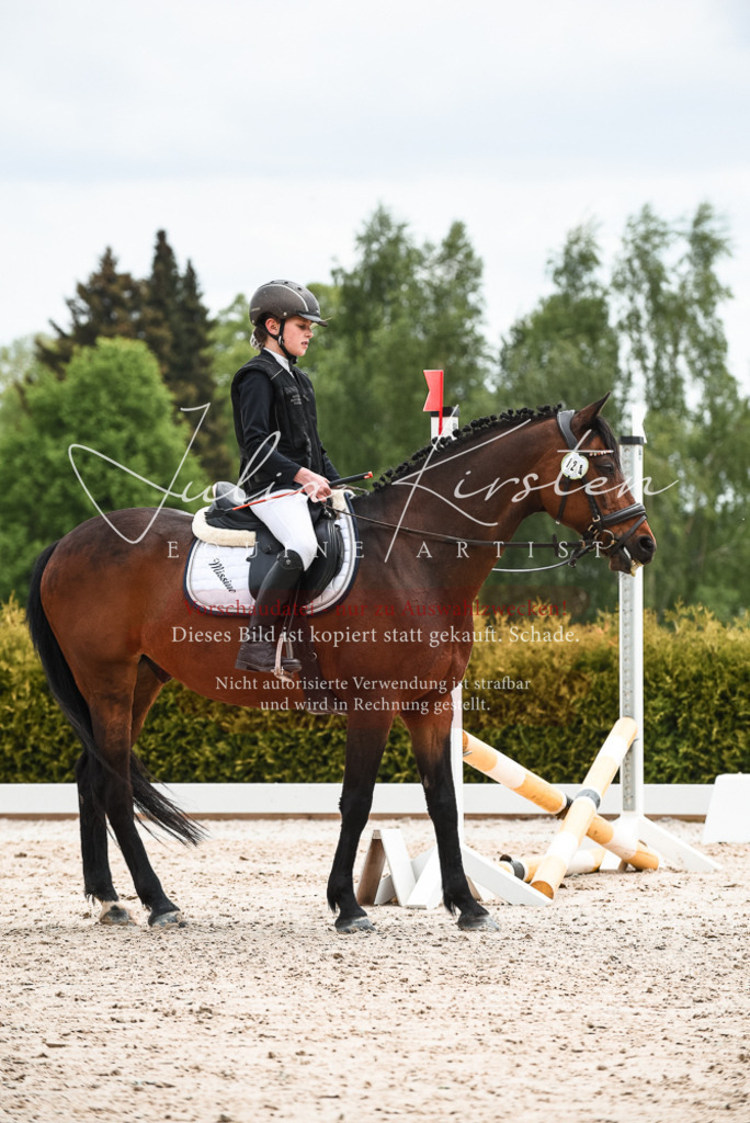 20230518_JK-Röhrsdorf-10-737 | Pferde- und Turnierfotografie in Westsachsen. Pferdeportraits, Auftragszeichnungen und intuitive Kunst.
