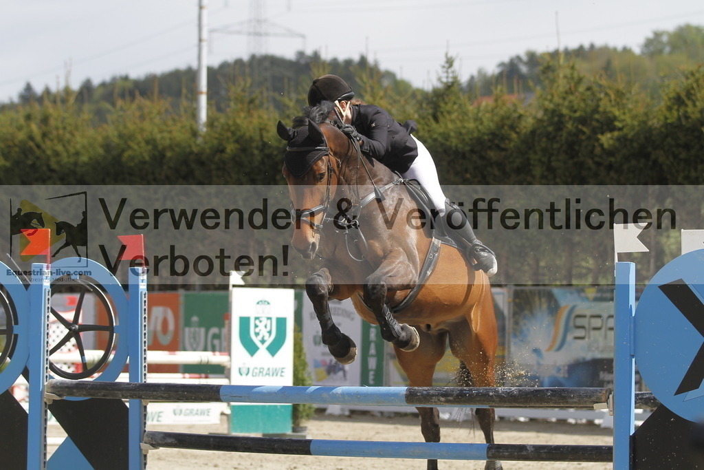 _MG_5268 | equestrian-live-com