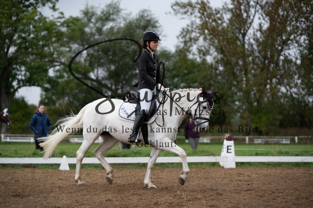 A7V05731 | Pferdefotograf