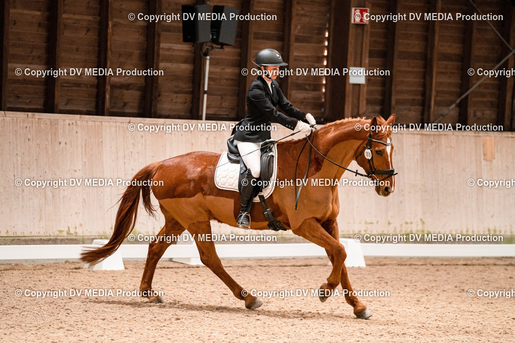 Dressur Tag 1 -375 | dv-media-shop - Realisiert mit Pictrs.com