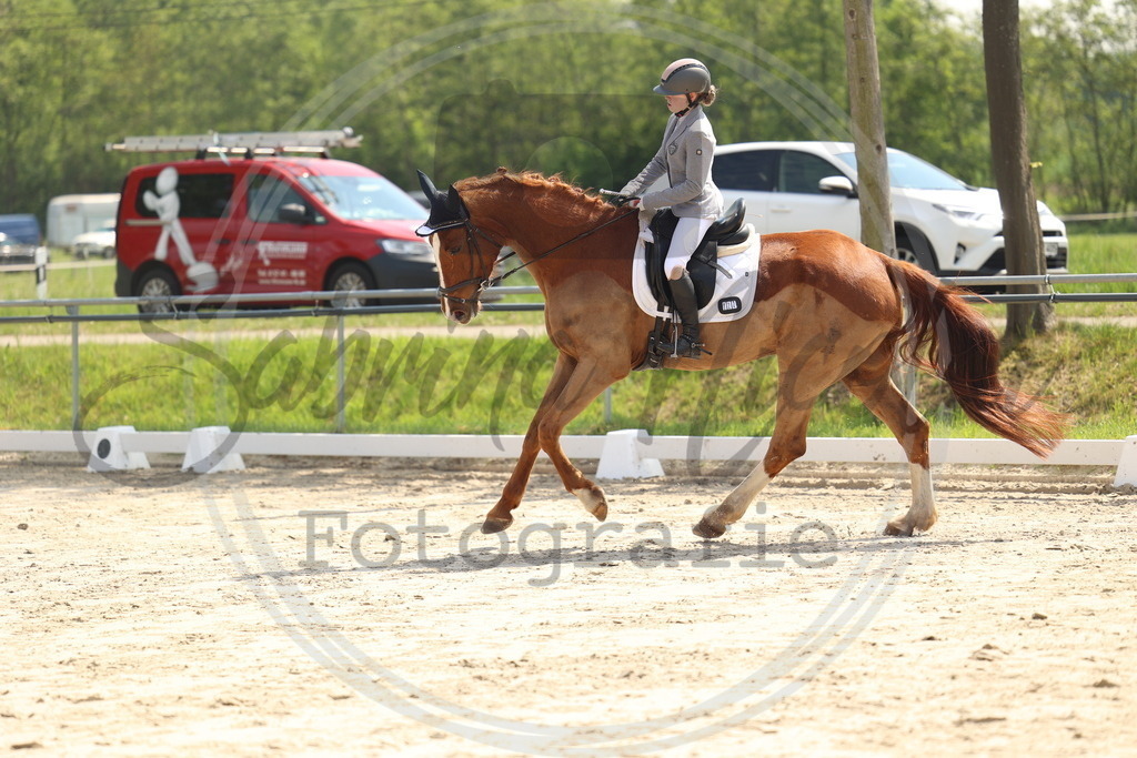 994A7141 | sabrinanicolaifotografie - Realisiert mit Pictrs.com