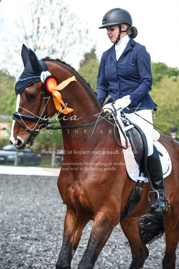 DSC_9083 | Pferde- und Turnierfotografie in Westsachsen. Pferdeportraits, Auftragszeichnungen und intuitive Kunst.