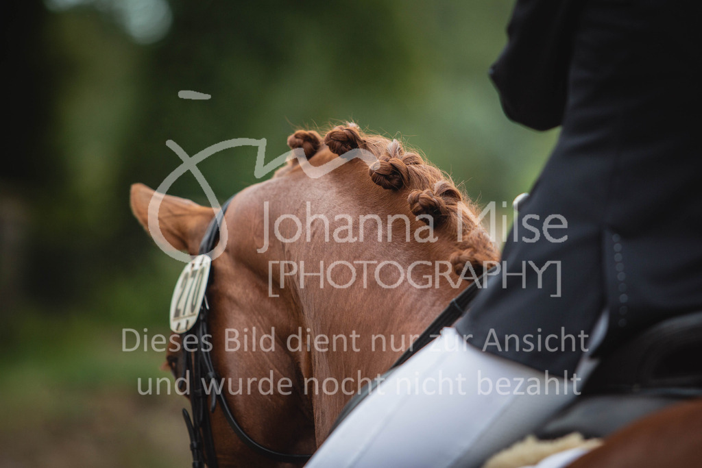 190810_BDT_Impressionen-012cc | Verkauf nur auf Anfrage