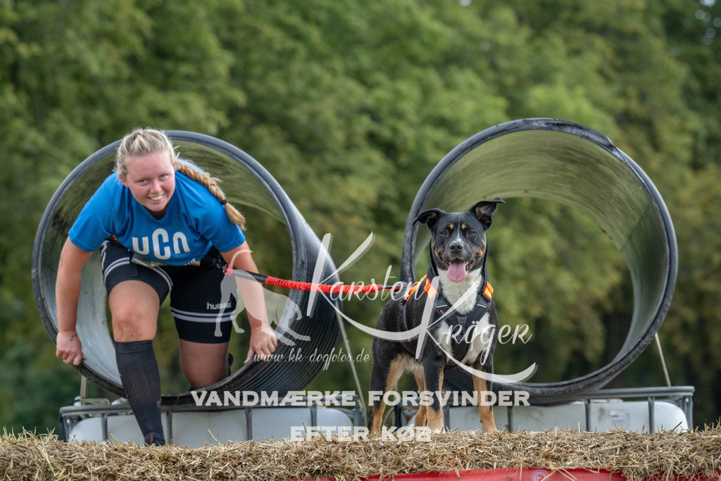 1030_ZZ92380 | kk-dogfotos