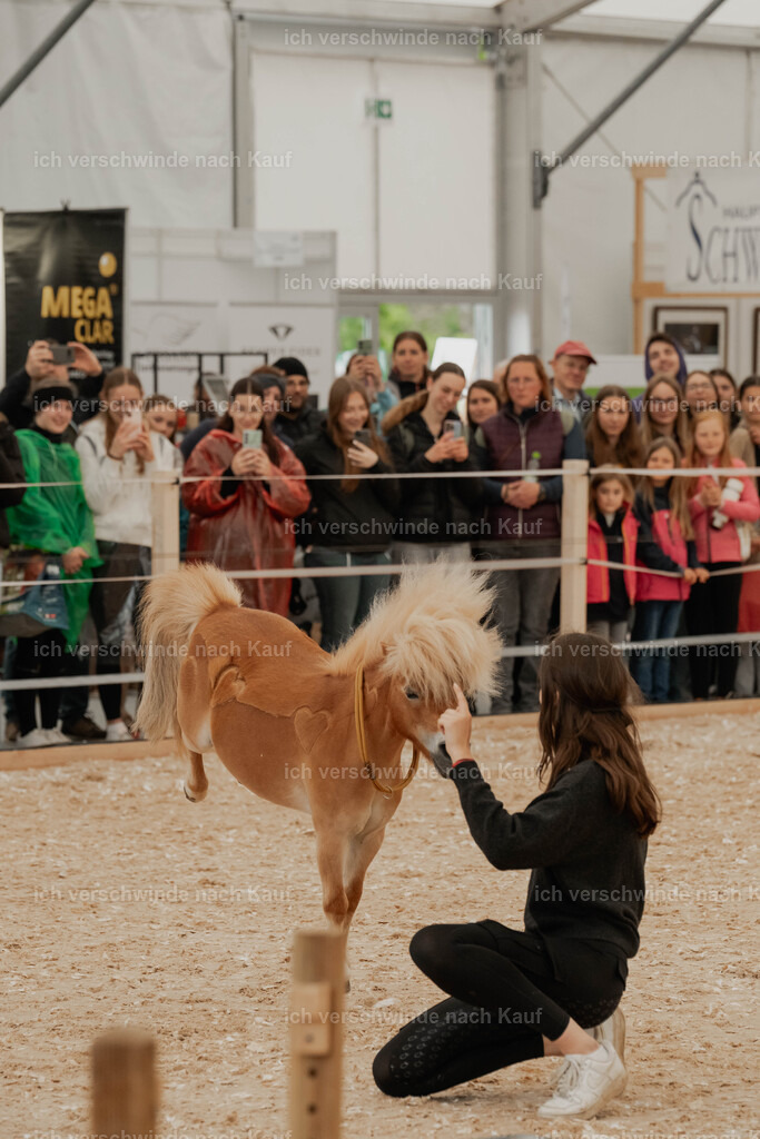 Showprogramm-67 | working equitationturnier fotograf videograf stoibphotography marixx film working equitation deutschland reitsport turnierfotografie eventfotografie equestrian events