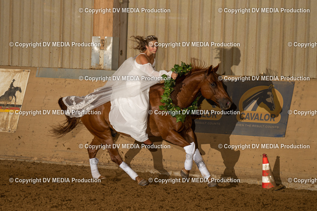 LAU01197 | dv-media-shop - Realisiert mit Pictrs.com