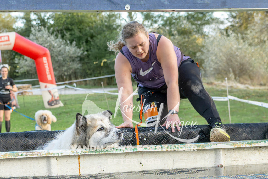 1644_ZZ98991 | kk-dogfotos