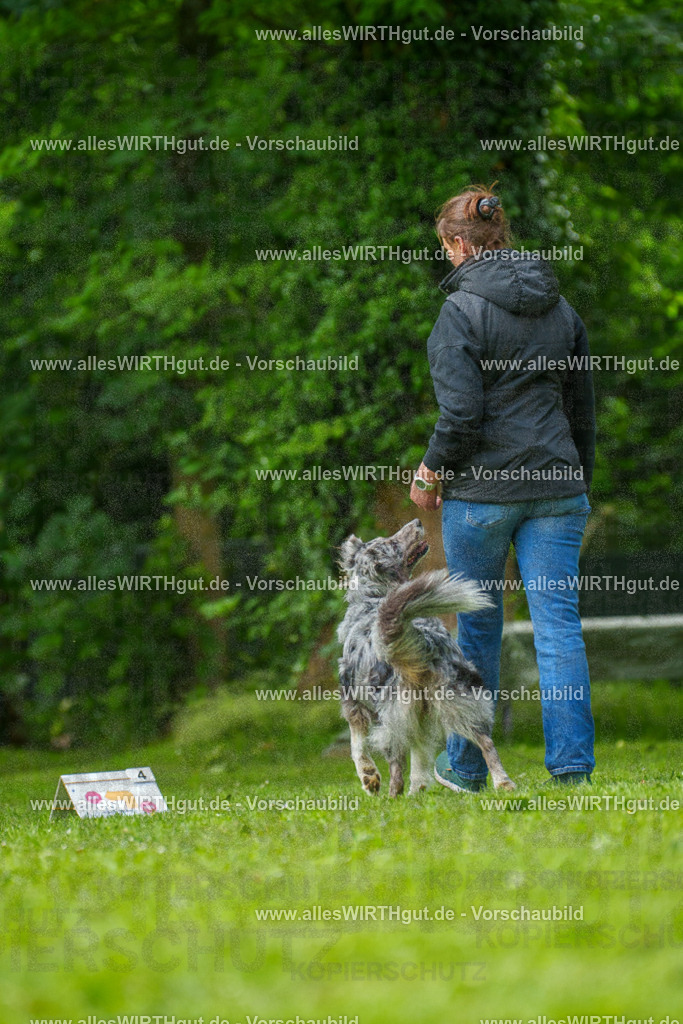 @allesWIRTHgut_Tierfotografie - www.allesWIRTHgut.de - 7R502030 | Professionelle Tierfotografie in Mönchengladbach von Daniel Wirth (allesWIRTHgut). Liebevolle & natürliche Bilder von Hunden & Katzen für unvergessliche Erinnerungen.