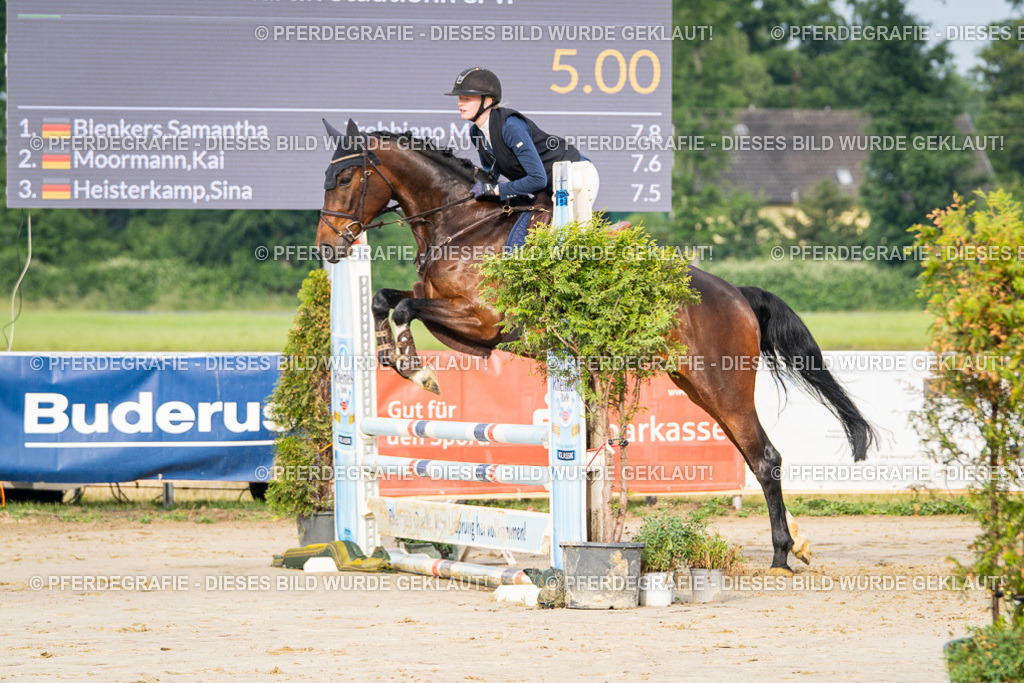 DSC08071 | Pferdegrafie