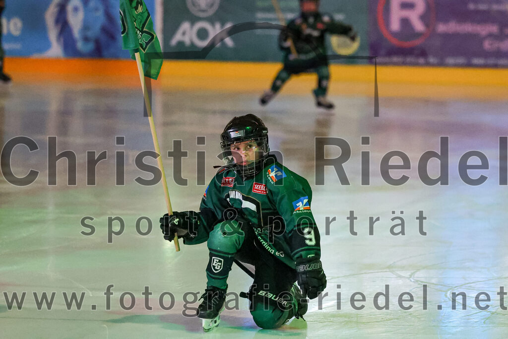 2026-01-18_023_TSV_Erding_gegen_Selber_Woelfe | Erding, Deutschland, 18.01.2026:Eishockey, Oberliga Süd 2025 / 2026, 38. Spieltag, TSV Erding gegen Selber Wölfe, Endergebnis: 2:3 n.V.Foto: Christian Riedel / fotografie-riedel.net