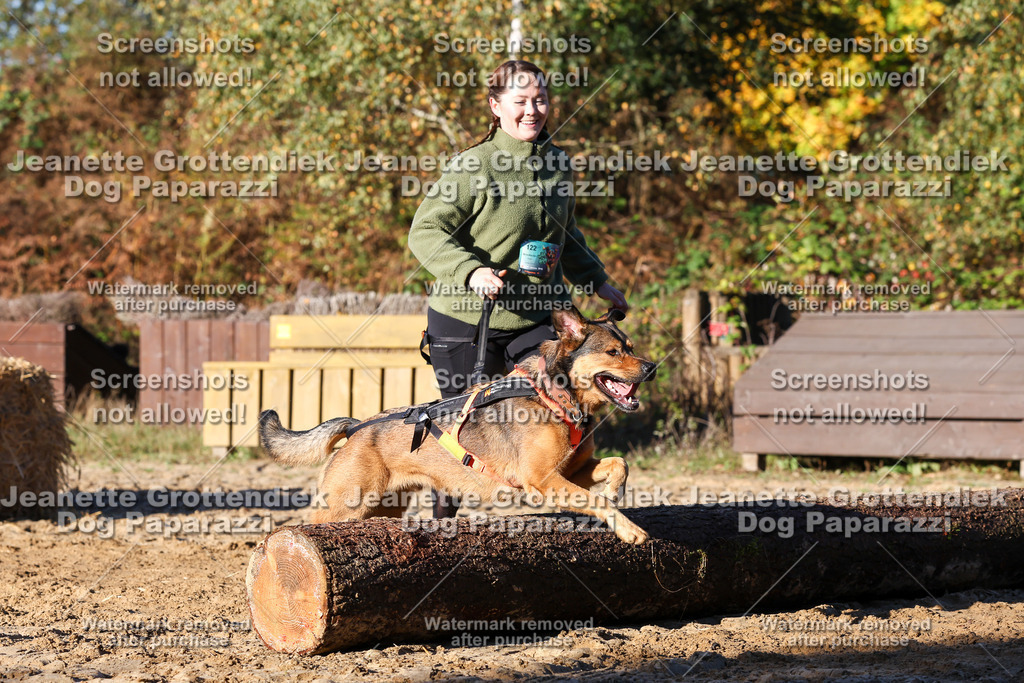 Dog Paparazzi - Strongdog 10-25-1374 | Dog Paparazzi Jeanette Grottendiek Fotografie & Videografie - Realisiert mit Pictrs.com