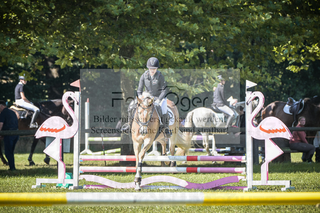 DOS_0085 | Entdecke hochwertige Reitturnierfotos von Foto Oger. Professionell, emotional und authentisch – jetzt Lieblingsmomente im Shop bestellen.Deutschlandweite Turnierfotografie. - Realisiert mit Pictrs.com