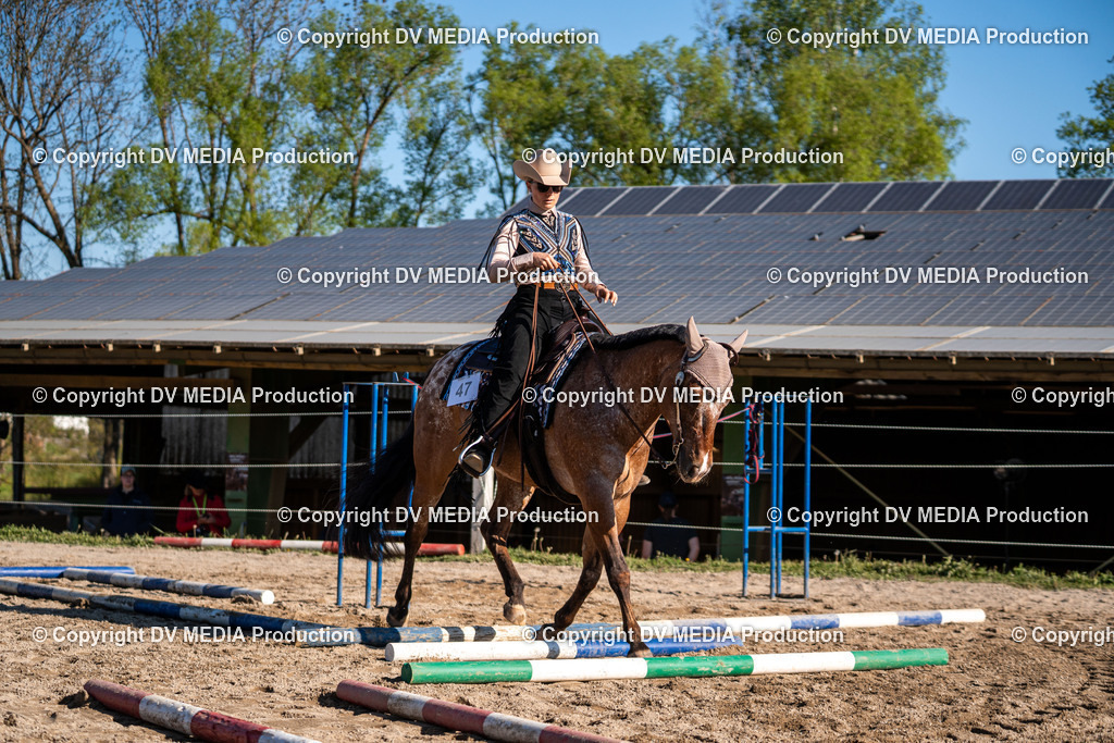 Balingen Tag 2-301 | dv-media-shop - Realisiert mit Pictrs.com