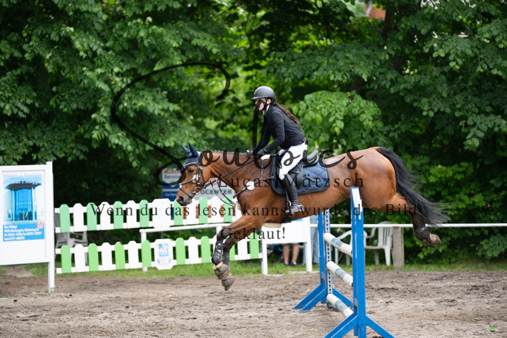 A7V05146 | Pferdefotograf