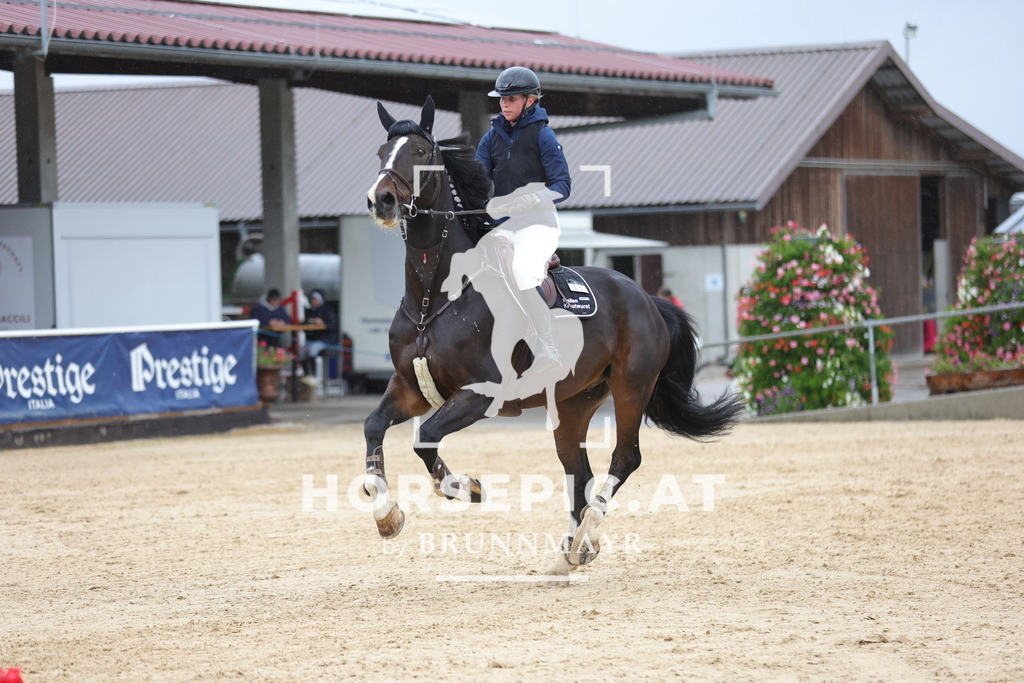 0P6A8723 | Willkommen bei Brunnmayr - Design & Fotografie – Ihrem Spezialisten für Reitturniere und Pferdeveranstaltungen in Oberösterreich, Salzburg und Bayern! Seit über 17 Jahren sind wir leidenschaftlich dabei.