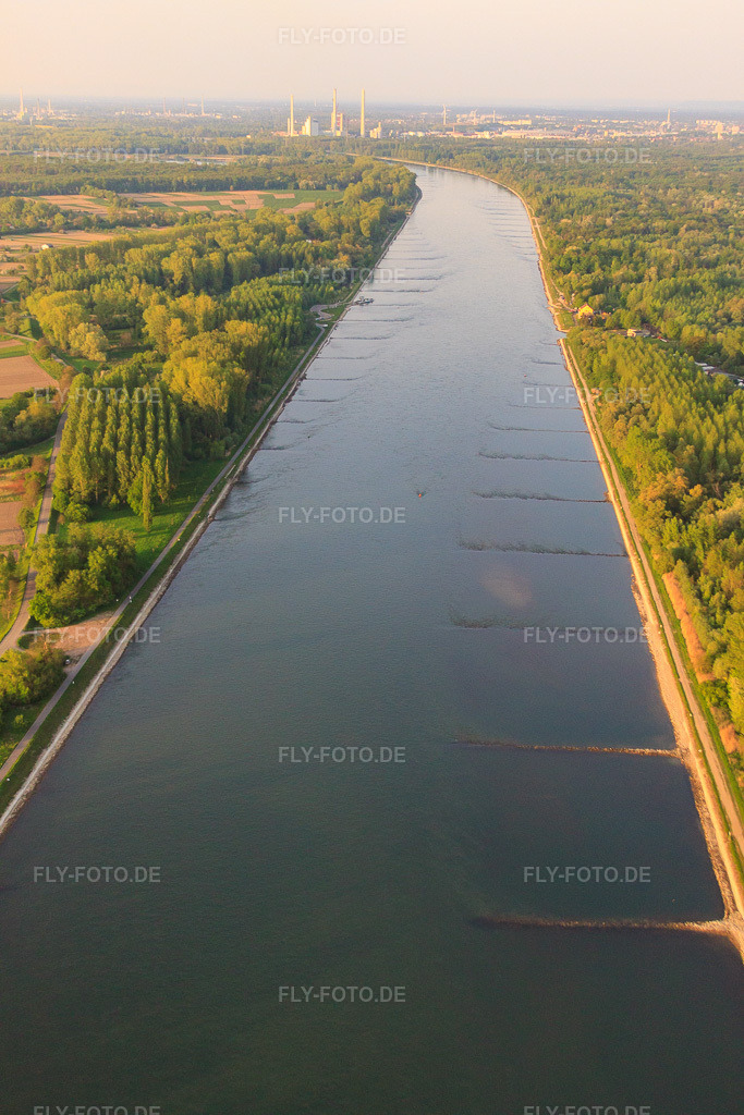 Luftbild: Rhein nach N in Au am Rhein im Bundesland Baden-Württemberg in Deutschland. Foto: IMG_27006.jpg vom 28.04.2010 durch Werner Riehm/FLY-FOTO.de