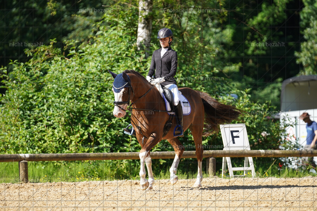 20240706-FAH04682 | Grafing Turnierfotos, Reitverein Ebersberg, Turnierfotografen Bayern, reitsportbilder, Pferdefotograf, reitsportfotograf, Sportbilder, Reitsportfotografie, Fotoagentur Herrmann, Turnierfotograf