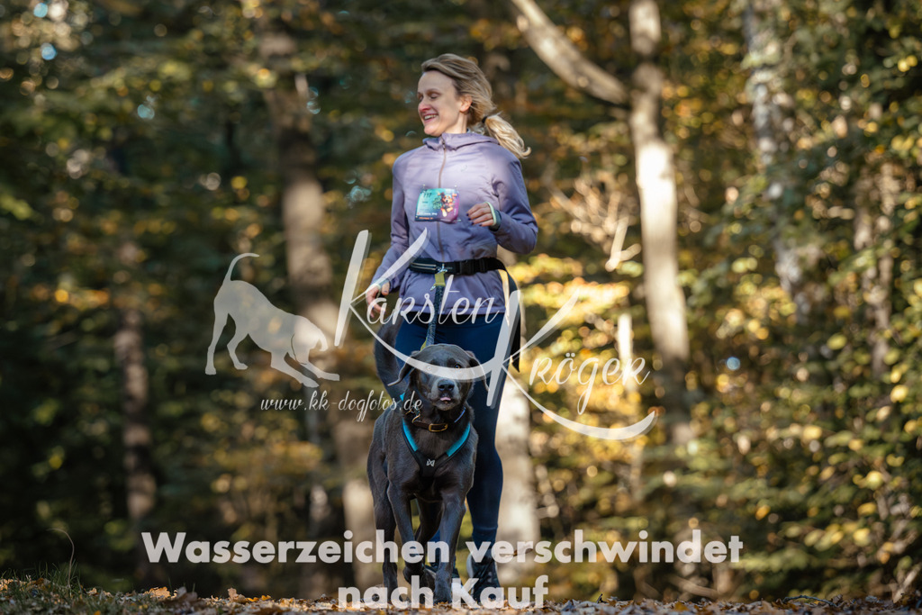 1041_ZZ90680 | kk-dogfotos