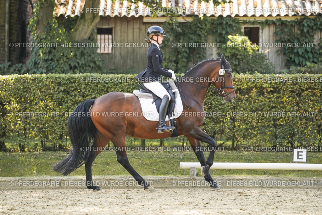 DSC07249 | Pferdegrafie