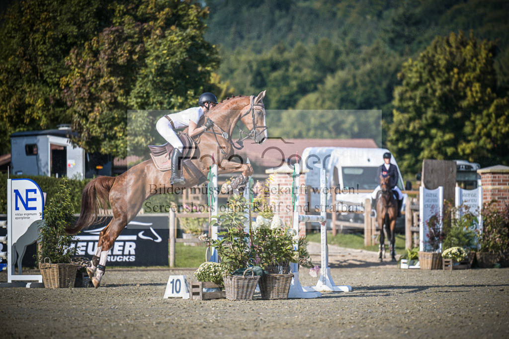 DOS_2085 | Entdecke hochwertige Reitturnierfotos von Foto Oger. Professionell, emotional und authentisch – jetzt Lieblingsmomente im Shop bestellen.Deutschlandweite Turnierfotografie. - Realisiert mit Pictrs.com