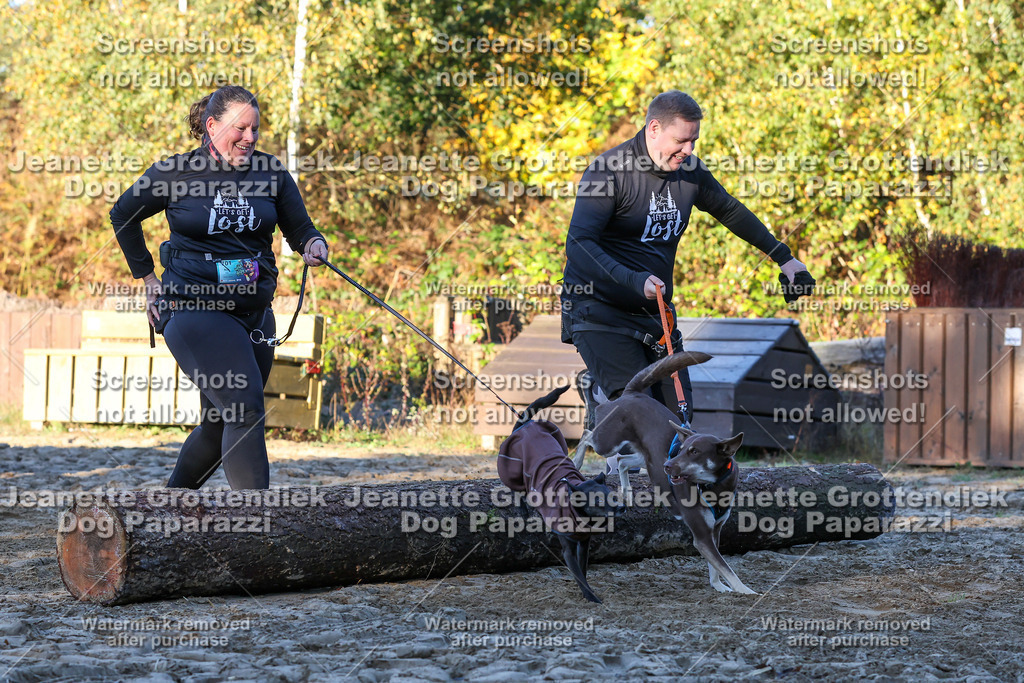 Dog Paparazzi - Strongdog 10-25-724 | Dog Paparazzi Jeanette Grottendiek Fotografie & Videografie - Realisiert mit Pictrs.com