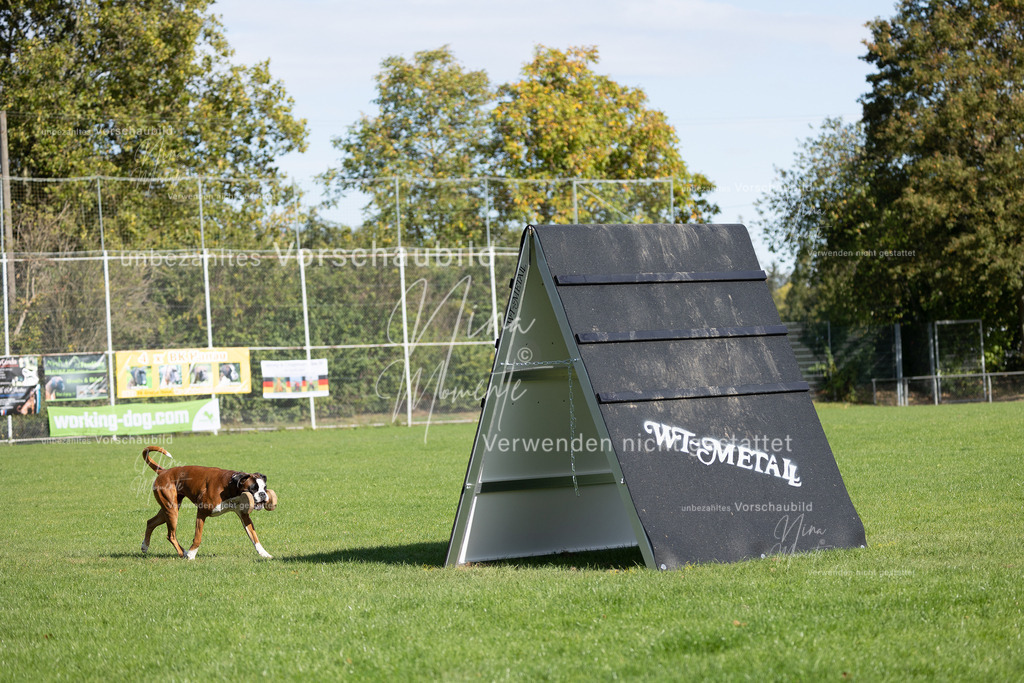 _16A6965 | Einzigartige Fotos von Hunden & Menschen –Actionfotos, Portraits, Vereinsaufnahmen & Paarshootings – authentisch, lebendig & mit Herz.