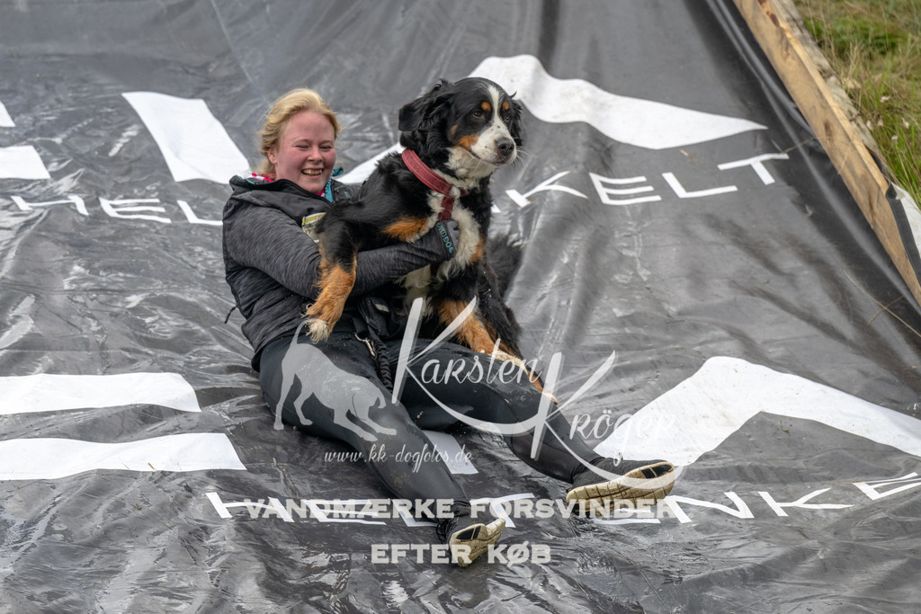 1554_ZZ91398 | kk-dogfotos