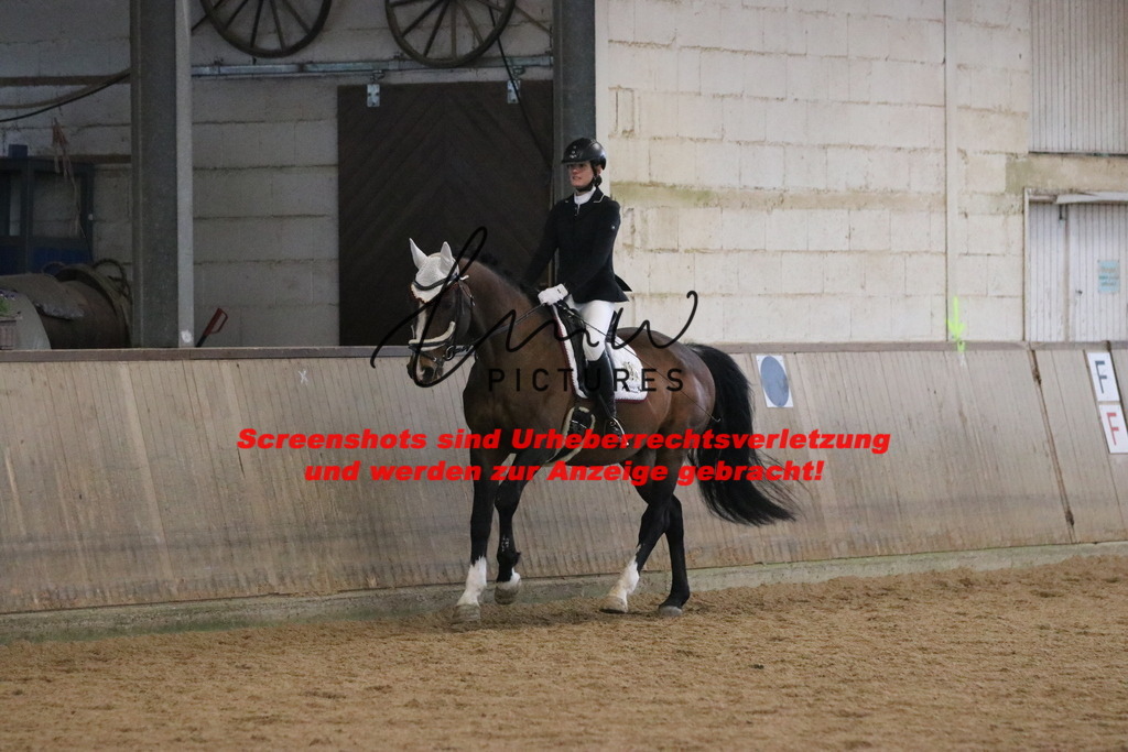 IMG_3911 | lmwpictures - Realisiert mit Pictrs.com