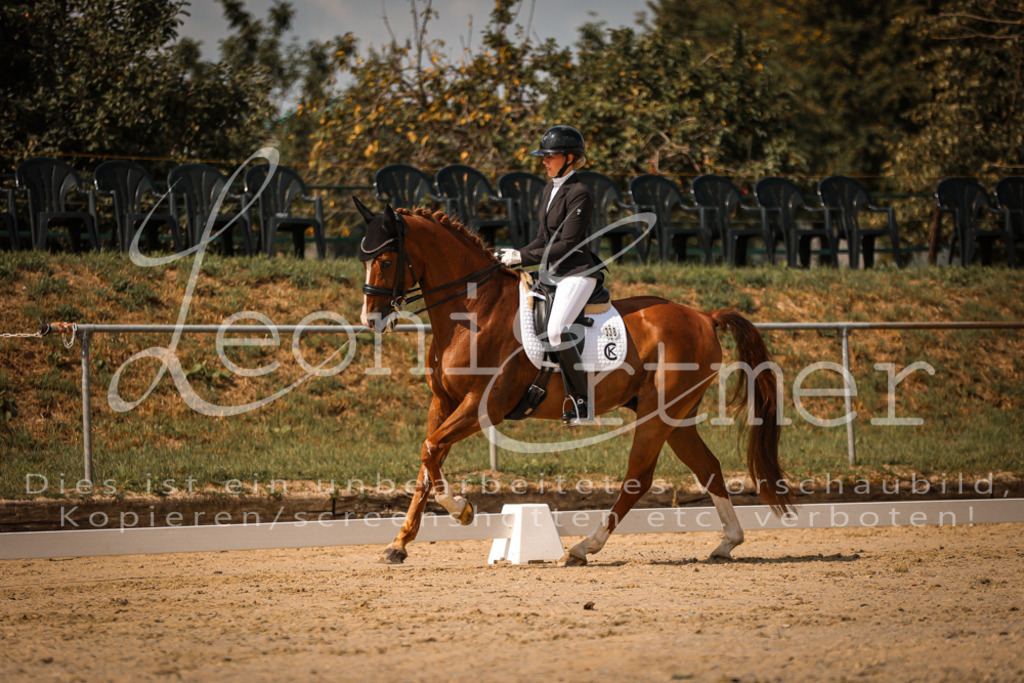 18.FrDrM00228 | Leoni Ertmer Photography - Realisiert mit Pictrs.com