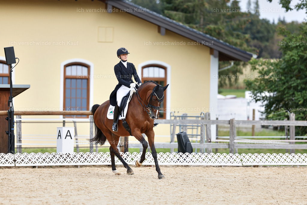 11-003-Dressur S___-StoibPH-1050 | working equitationturnier fotograf videograf stoibphotography marixx film working equitation deutschland reitsport turnierfotografie eventfotografie equestrian events