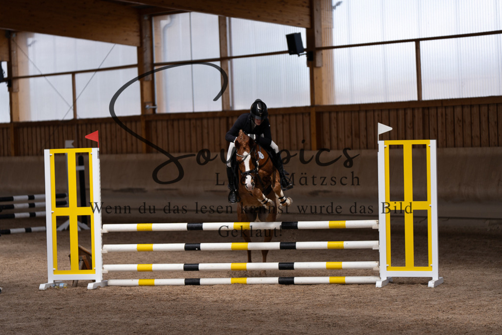 A7507386 | Pferdefotograf