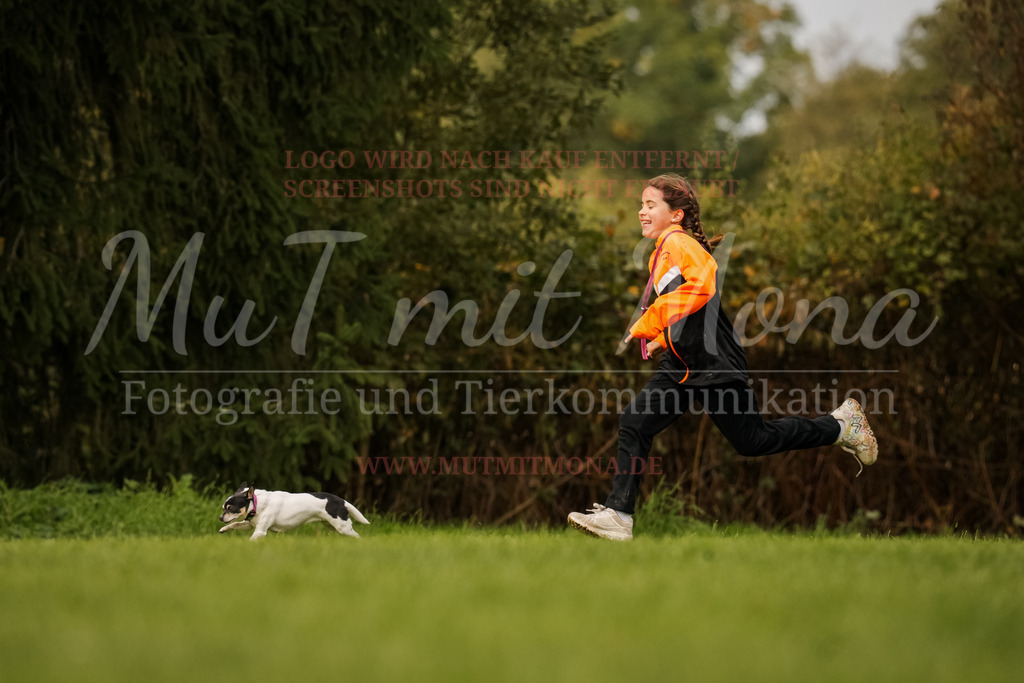 20251005_THS_Turnier-614 | MuT (Mensch und Tier) mit Mona - Fotografie und Tierkommunikation - Realisiert mit Pictrs.com
