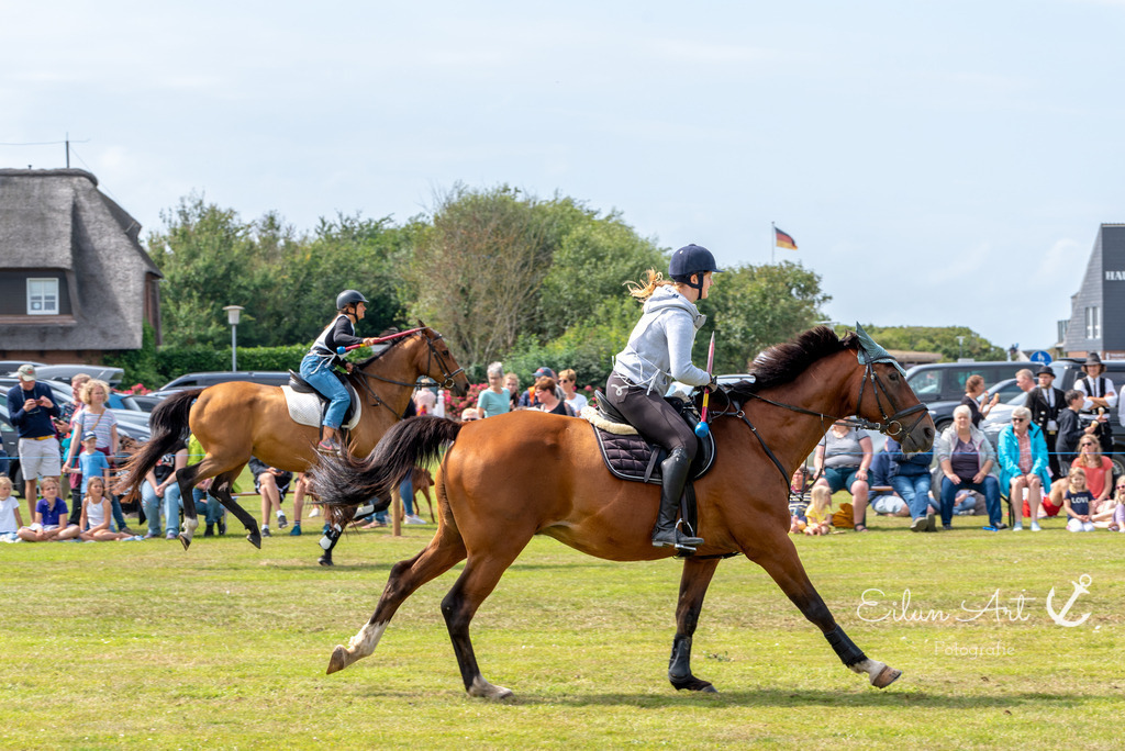 EAF_7479 | Eilun-Art-Fotografie Levke Martens, ihre Fotografin für Immobilien- und Landschaftsfotografie auf Föhr, Föhrer Motive als Poster, Leinwand, hinter Acrylglas oder stelle dir deinen eigenen Monatskalender zusammen, mit nur einem Klick