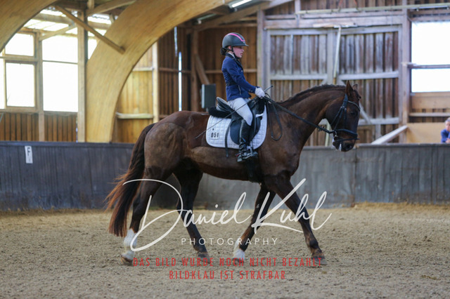 IMG_0939 | Turniersportfotografie; Pferdefotografie; Dressurfotografie