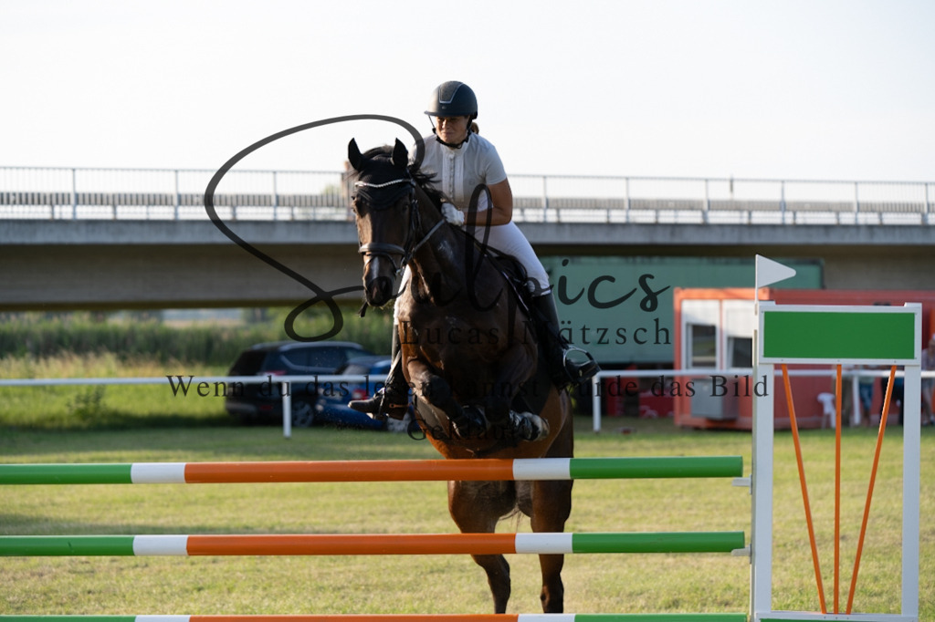 A7V01061 | Pferdefotograf