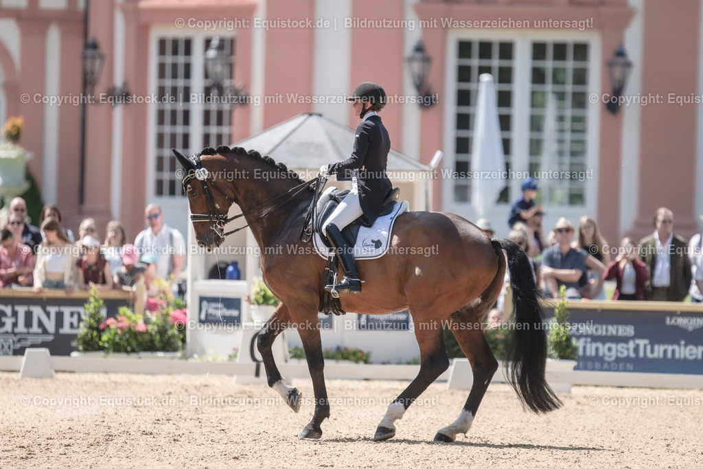 20230528_03_GP-Special-Tour_0158 | equistock