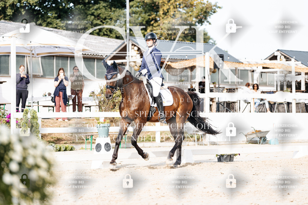 CK905080 | Turnierfotografie Pferdefotografie Trier Rheinland-Pfalz Pferdesport Reitsport Tierfotografie Sportfotografie Pferdevideo Pferdevideografie Equestrianvideography equestrianphotography  - Realisiert mit Pictrs.com