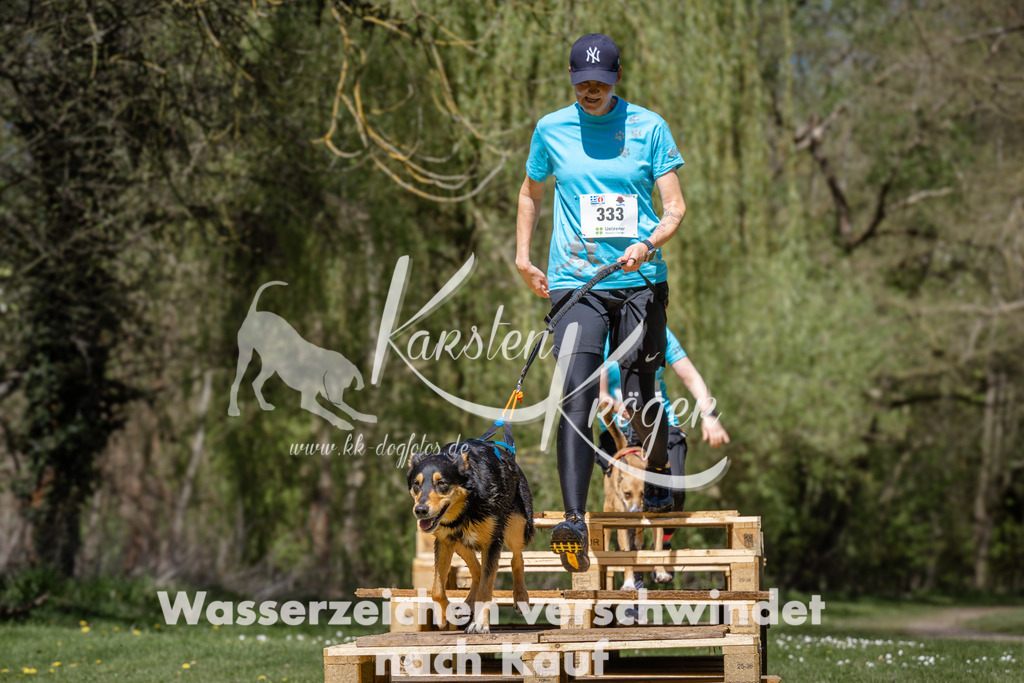 1255_ZZ95072 | kk-dogfotos