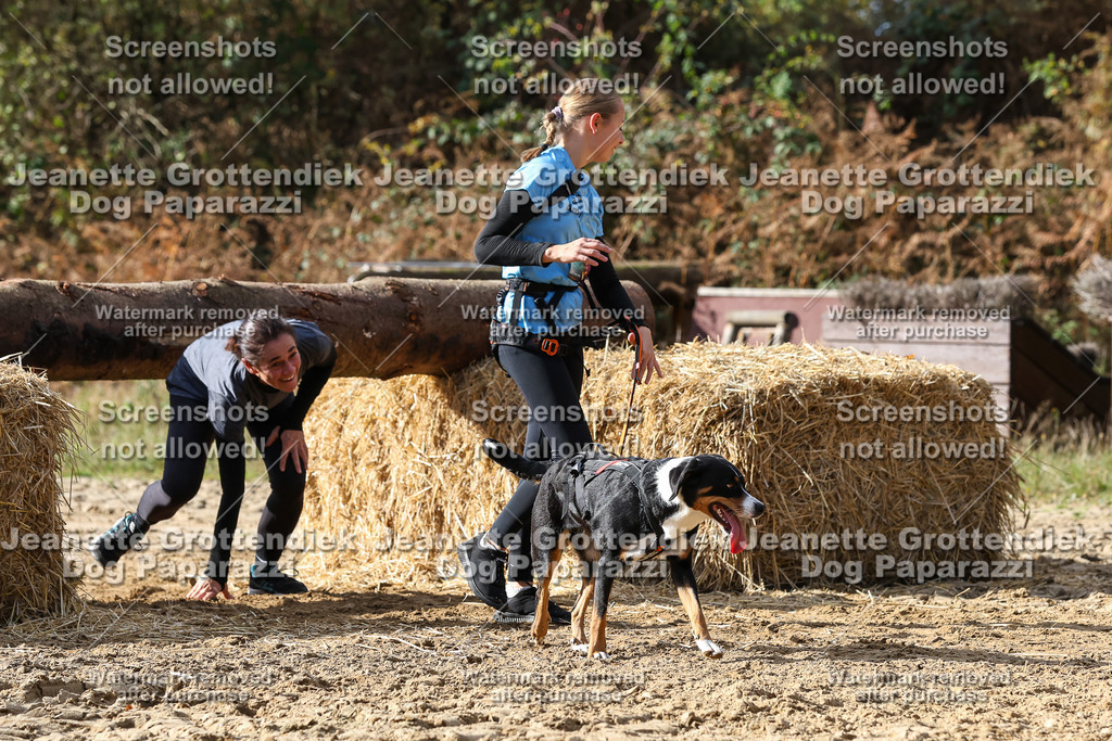 Dog Paparazzi - Strongdog 10-25-5141 | Dog Paparazzi Jeanette Grottendiek Fotografie & Videografie - Realisiert mit Pictrs.com