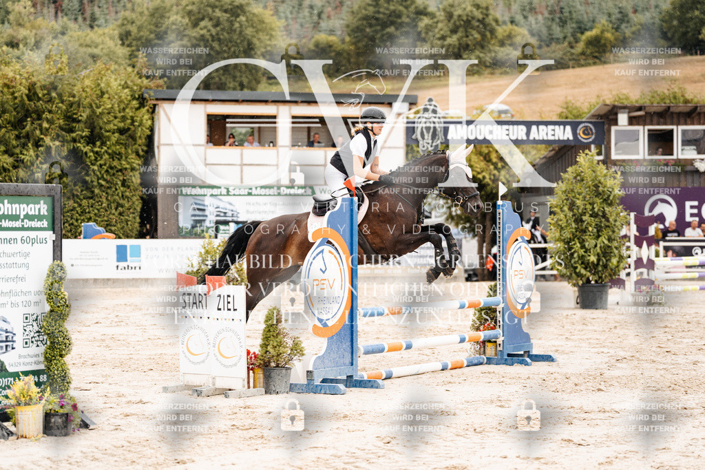 CK908586 | Turnierfotografie Pferdefotografie Trier Rheinland-Pfalz Pferdesport Reitsport Tierfotografie Sportfotografie Pferdevideo Pferdevideografie Equestrianvideography equestrianphotography  - Realisiert mit Pictrs.com