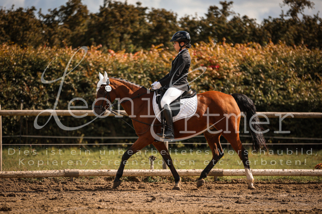 02.SoDrWB00020 | Leoni Ertmer Photography - Realisiert mit Pictrs.com