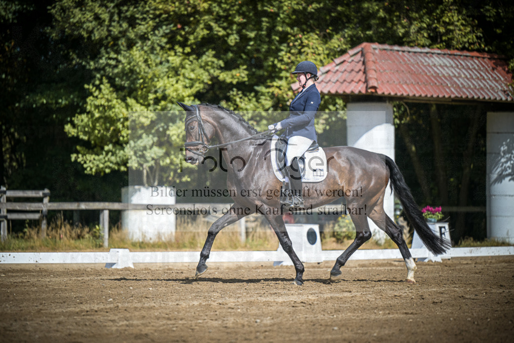 DOS_4260 | Entdecke hochwertige Reitturnierfotos von Foto Oger. Professionell, emotional und authentisch – jetzt Lieblingsmomente im Shop bestellen.Deutschlandweite Turnierfotografie. - Realisiert mit Pictrs.com